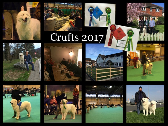 Memories from our trip to the Crufts dogshow
