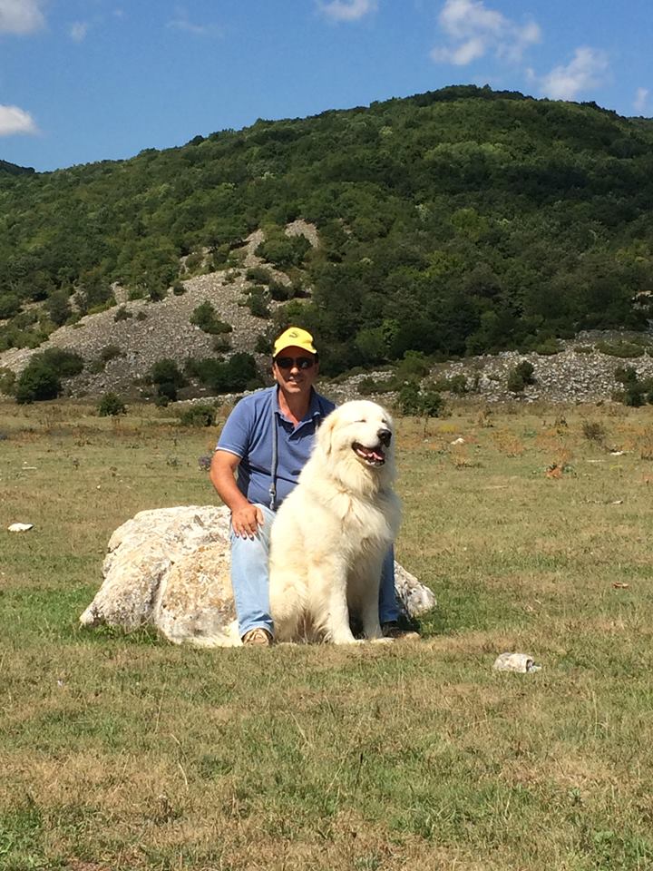 Allevamento Del Montelarco Cane Da Pastore Maremmano Abruzzese